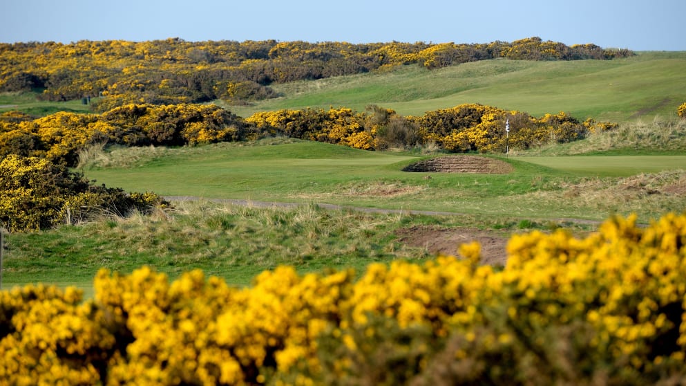 Montrose Links