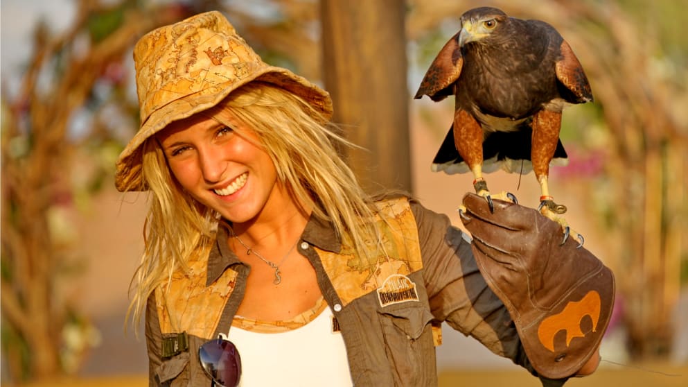 Falcon show in Ras Al Khaimah