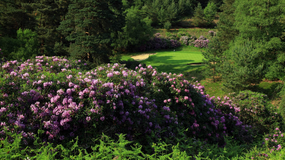 The iconic short third hole on the Duke's Course at Woburn Golf Club