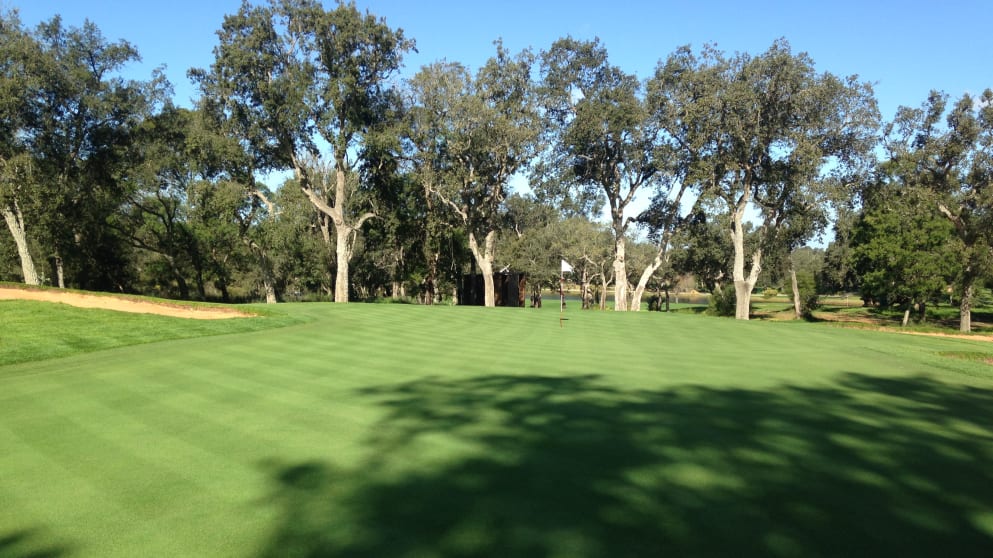 The third green at Royal Dar Es Salam