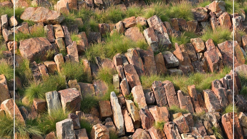 photo of the year - No 7