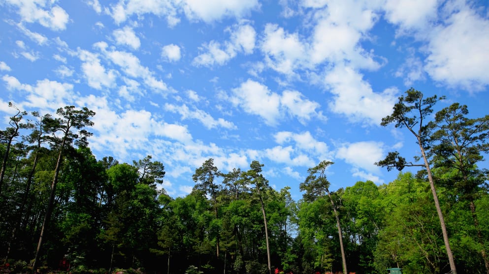 The group of Tiger Woods, Jordan Spieth and Ben Crenshaw on the 13th green during a practice round at Augusta National Golf Club 