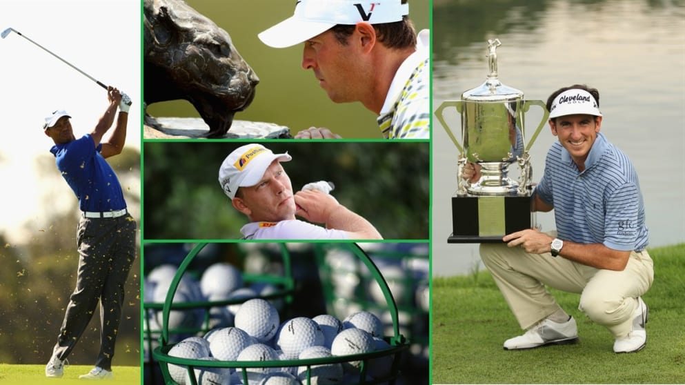 Here is who and what you can expect to hear on this week's podcast