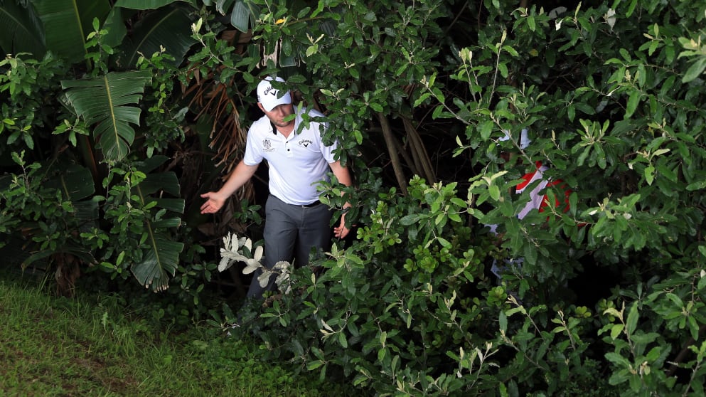 Branden Grace experiencing some of the foliage at Durban Country Club in 2013