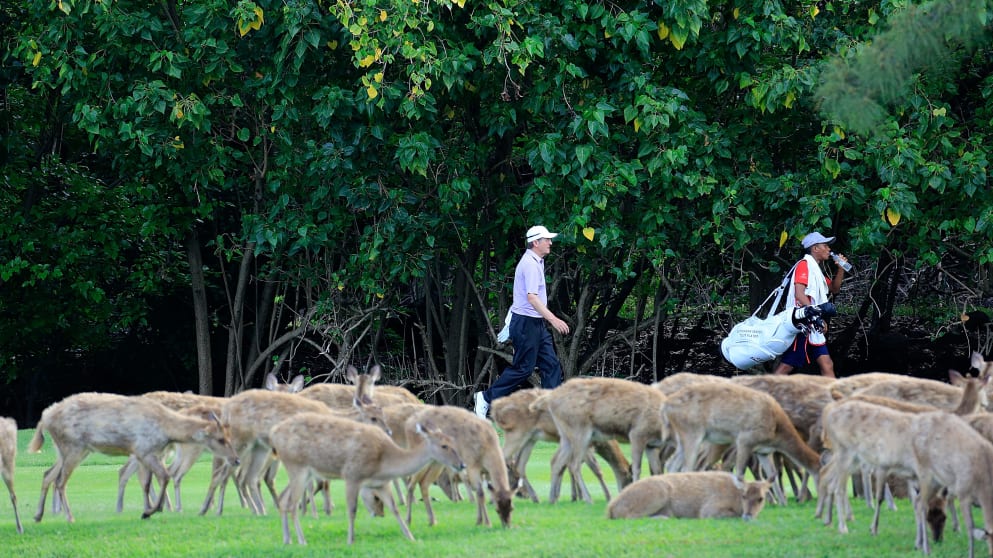 Photo of the Year - Des Smyth