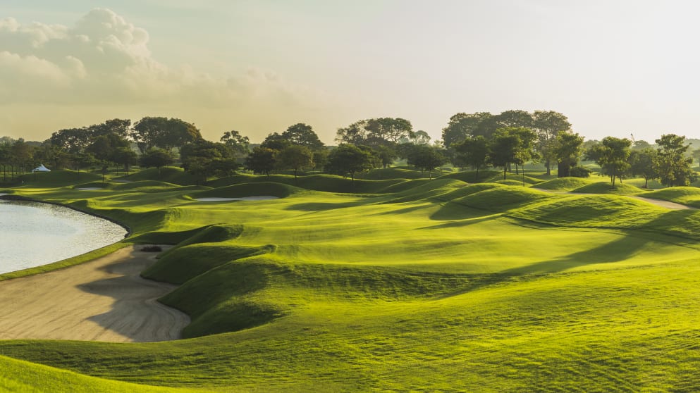 Classic 6 - CJ6A6809-Pano