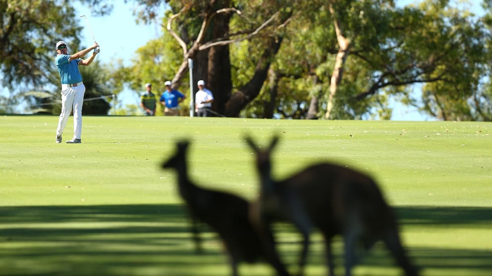 Steven Jeffress during the ISPS HANDA World Super 6 Perth