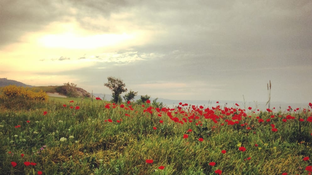 The sun climbs into an overcast sky as day two of the Volvo World Match Play Championship began in Bulgaria