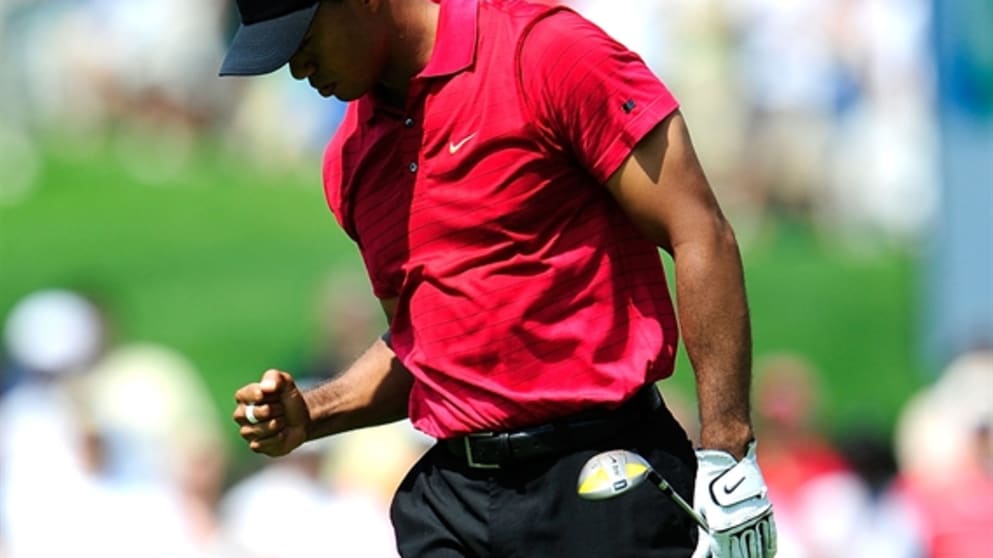 World Golf Championships-Bridgestone Invitational - Final Round