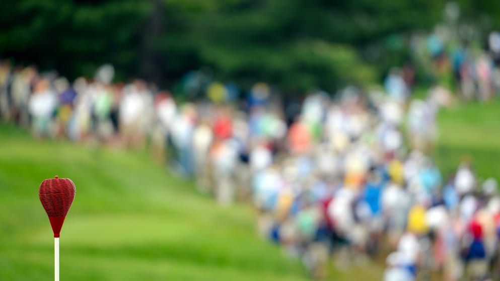 A wicker basket flagstick