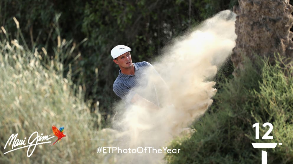 Photograph of the year MJ Bryson2