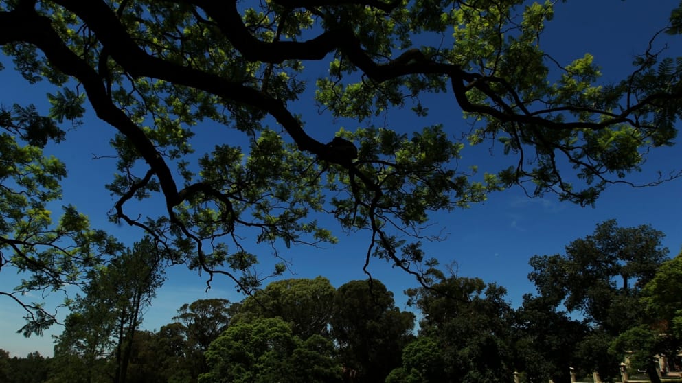 The view of the 6th green of the West Course for the Joburg Open