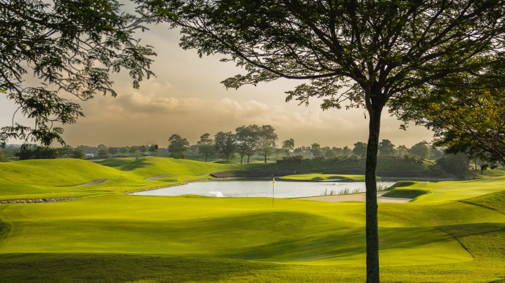 Classic 12 - CJ6A7080