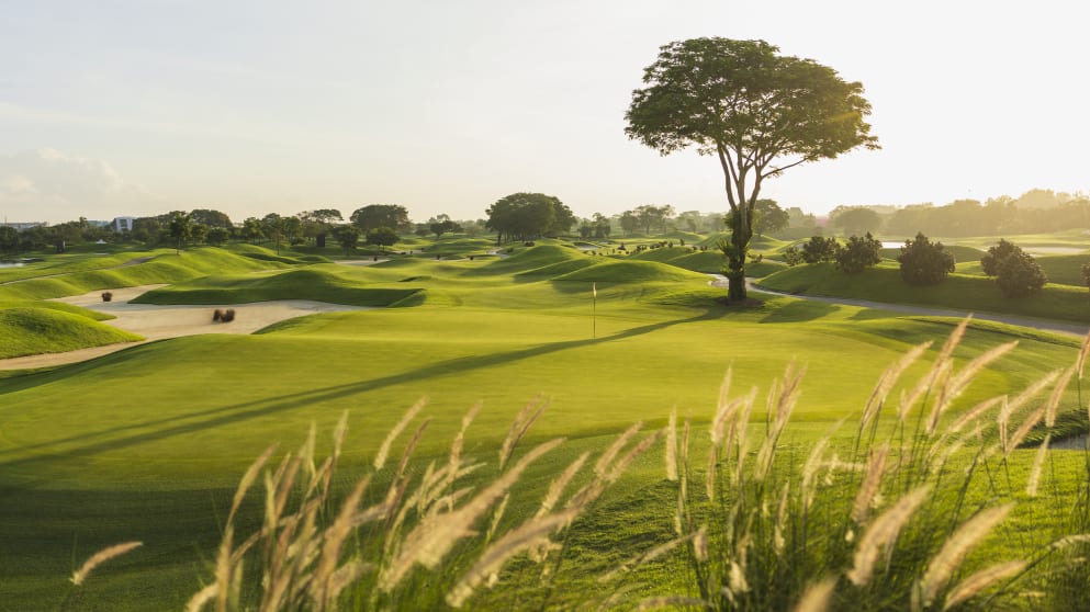 Classic Course 15th Hole