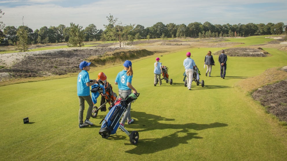 43779748460_6dd632c3c0_o