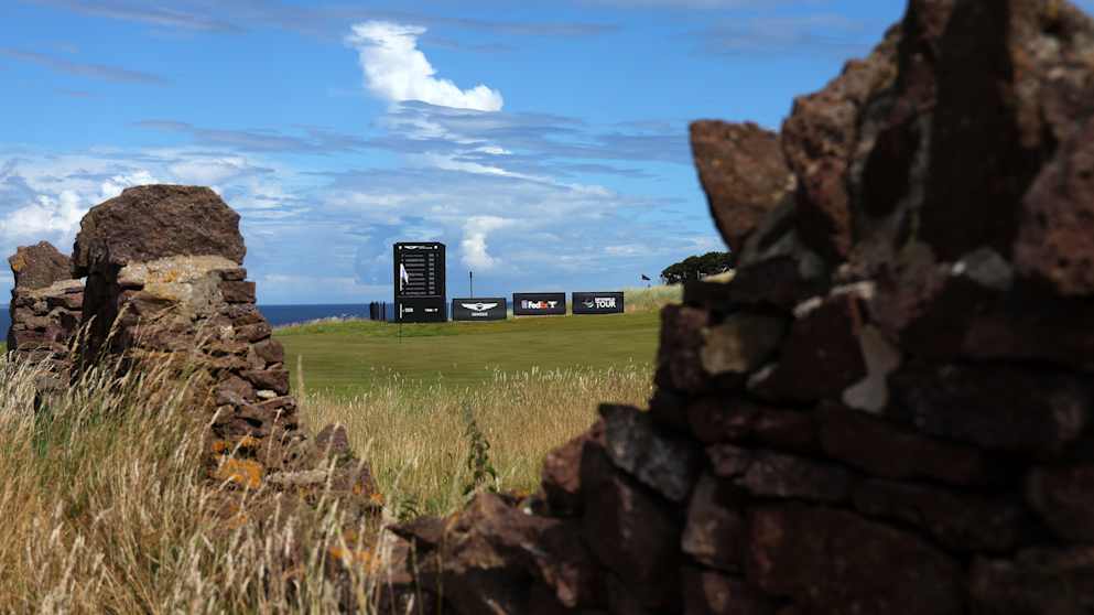 Renaissance-1533519456