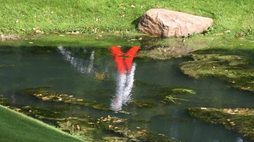 Tseleevo Golf and Polo Club (pic by Sergey Kuznetsov)