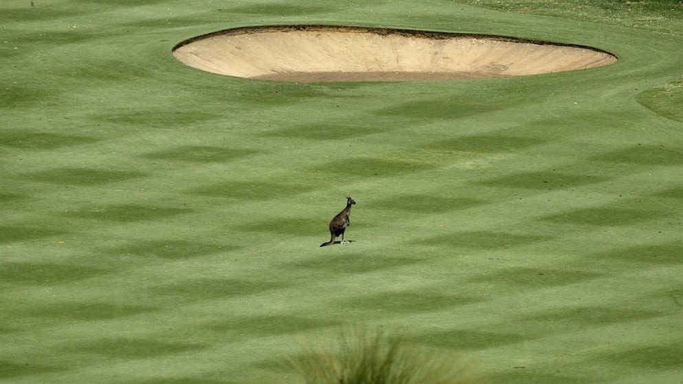 Lake Karrinyup 