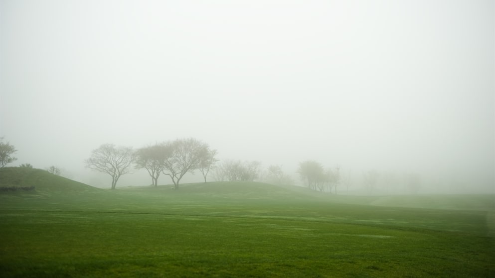 Ballantine's Championship