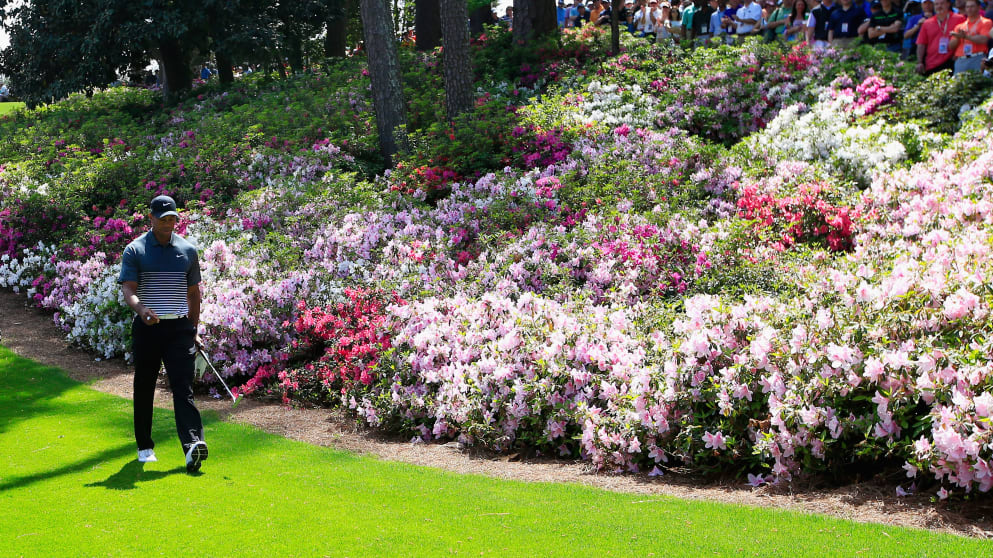 Tiger Woods blossoming at Augusta on Saturday
