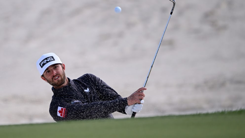 Harrison Endycott-1982409738