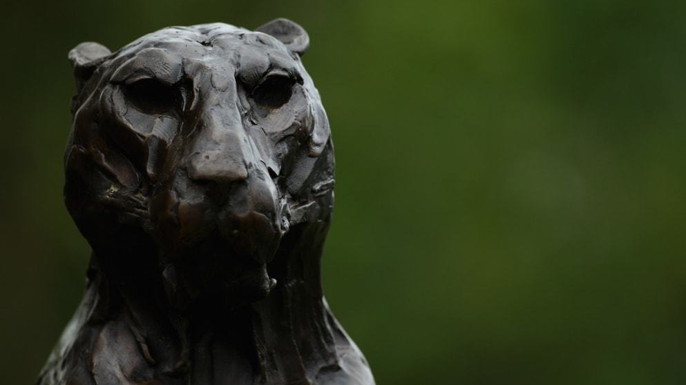 A leopard tee marker keeps an eye on the action