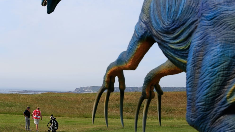 Photo of the Year - Unusual hazard