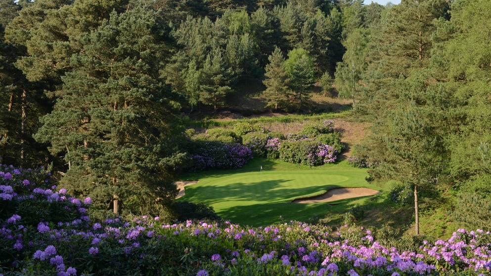 Duke's Course, Woburn Golf Club
