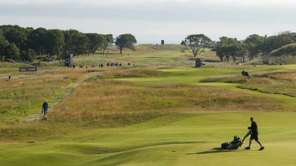 sustainability gso 1