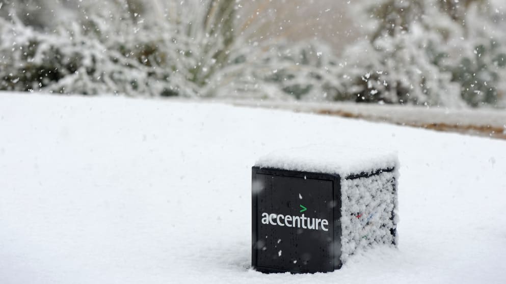 Not often you see a cactus covered in snow