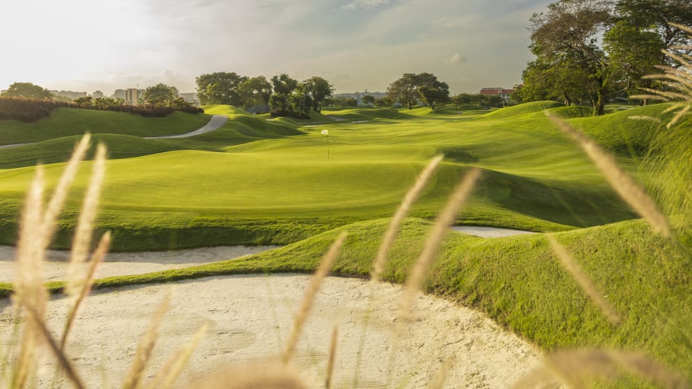 Classic 8 - CJ6A69801