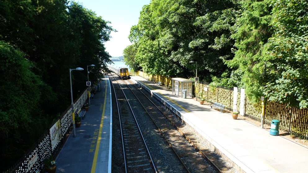Trains await at Fota Island