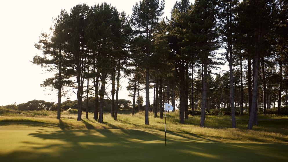 sustainability gso 2