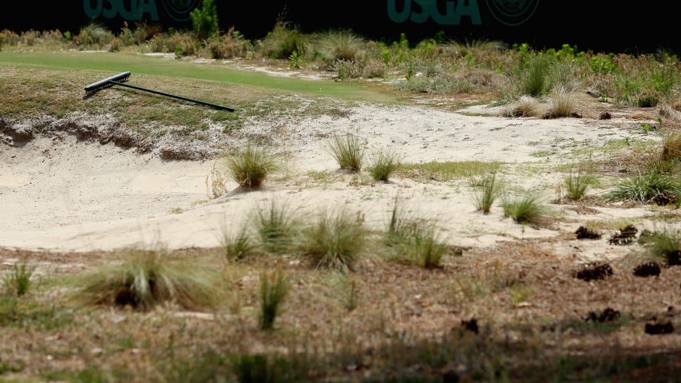 One of the sandy waste areas that is a major feature of the newly-remodelled 'restored' Pinehurst No. 2