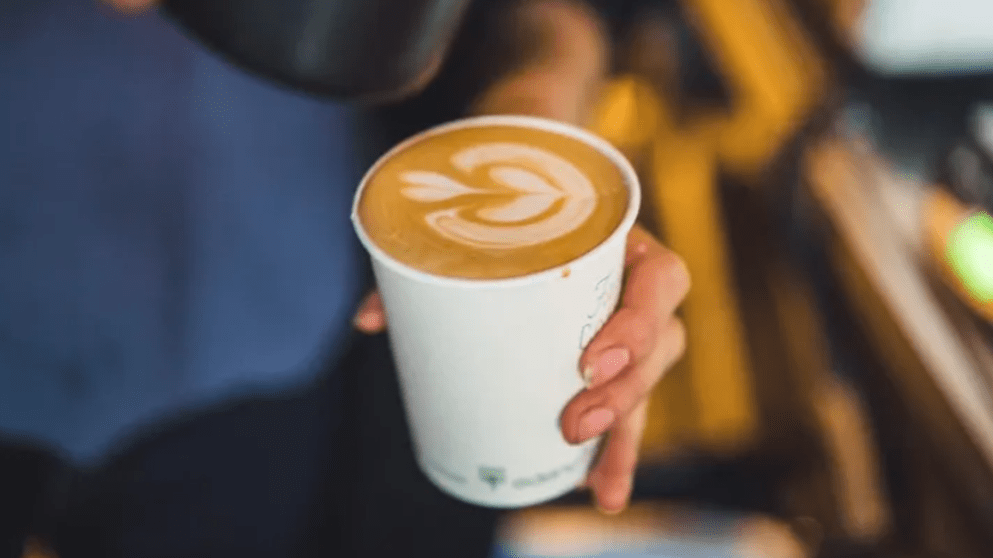 Fallen Tree Coffee 4