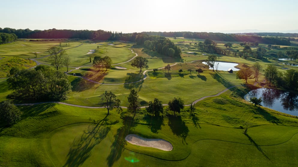 fruit&tree garden-41