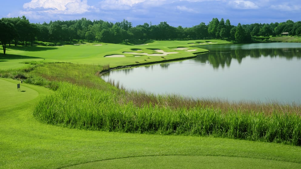 Ishioka GC P_No.15_1