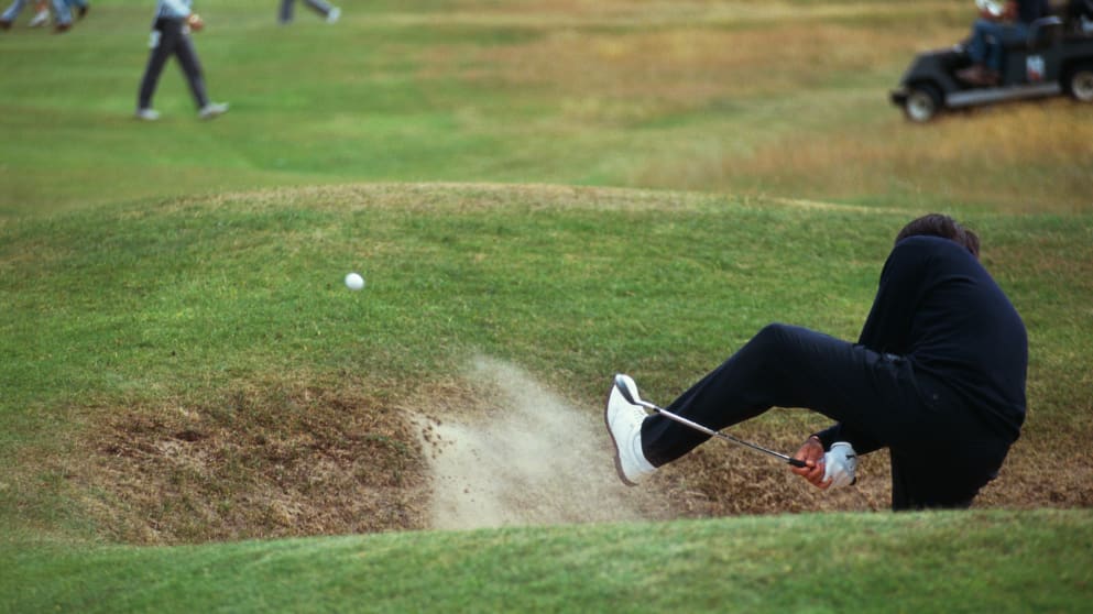 Seve between the legs