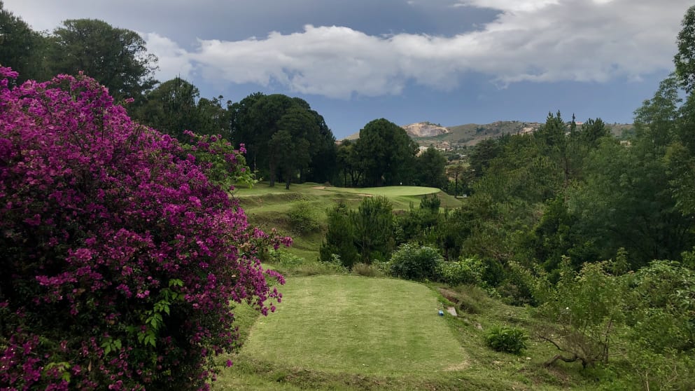 4th green Golf du Rova