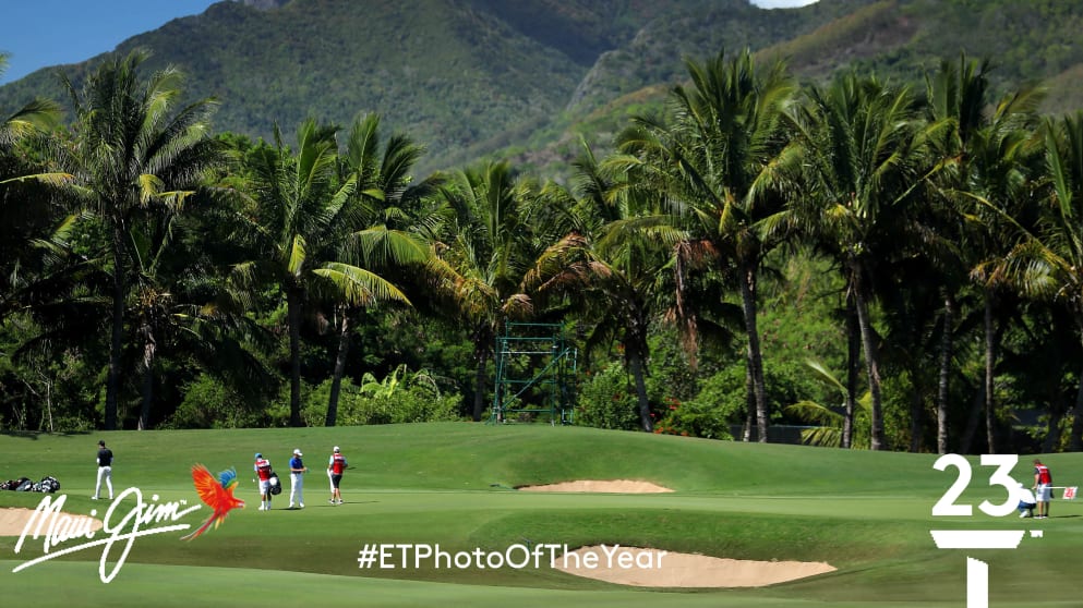 Photograph of the year 232