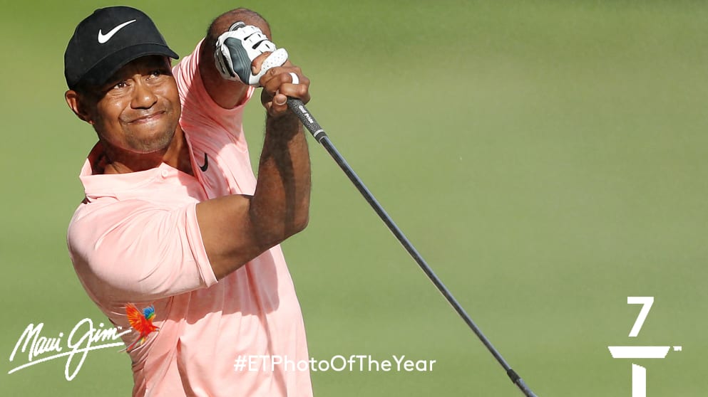 Photograph of the year number 7 Tiger2