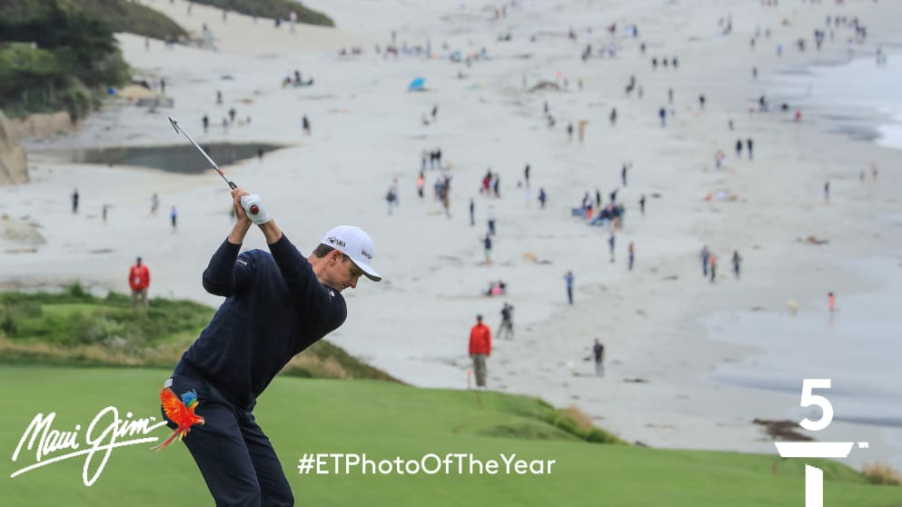 Photograph of the year MJ Rose 52