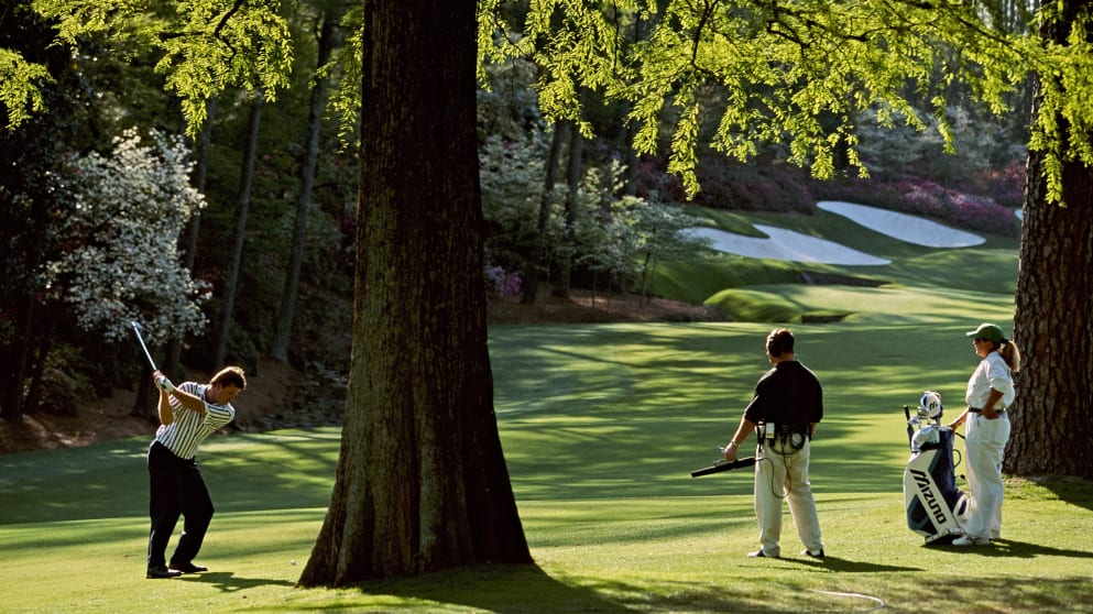 Nick Faldo-462059040