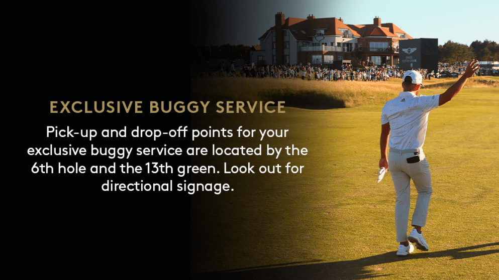 Buggy Service_1320x650