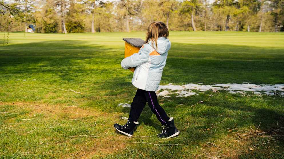 Crans birdbox girl solo