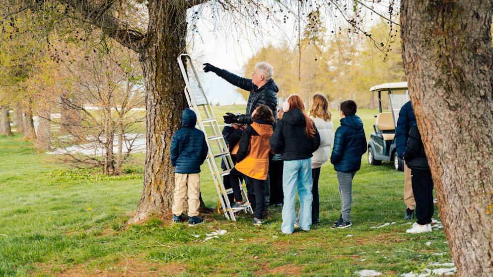 Crans birdbox group 2