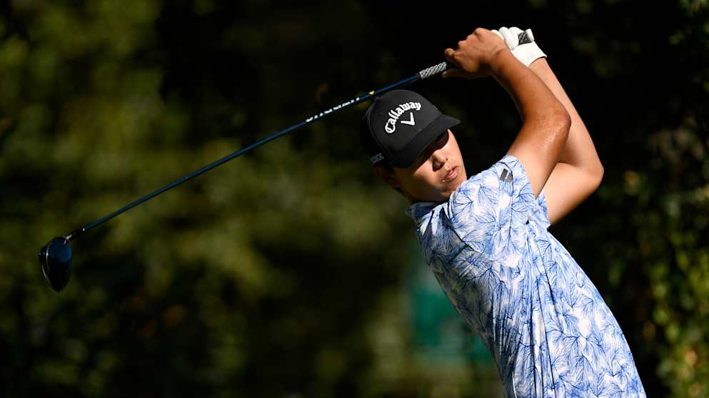 Wenyi Ding-1821553470