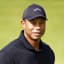 Player image for Tiger WOODS