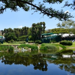 www.europeantour.com