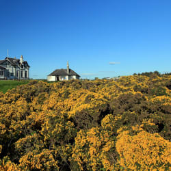Royal Aberdeen to host Scottish Senior Open - Articles - Vimarsana News
